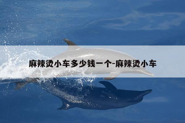 麻辣烫小车多少钱一个-麻辣烫小车-第1张图片-优惠活动网