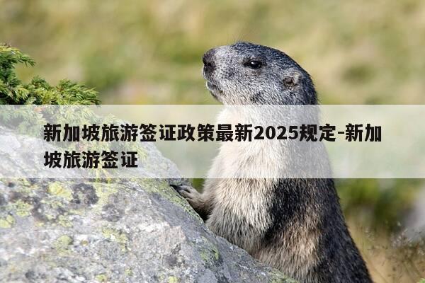 新加坡旅游签证政策最新2025规定-新加坡旅游签证-第1张图片-优惠活动网 新加坡旅游签证政策最新2025规定-新加坡旅游签证-第1张图片-优惠活动网