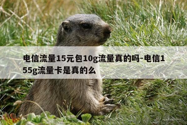 电信流量15元包10g流量真的吗-电信155g流量卡是真的么-第1张图片-优惠活动网