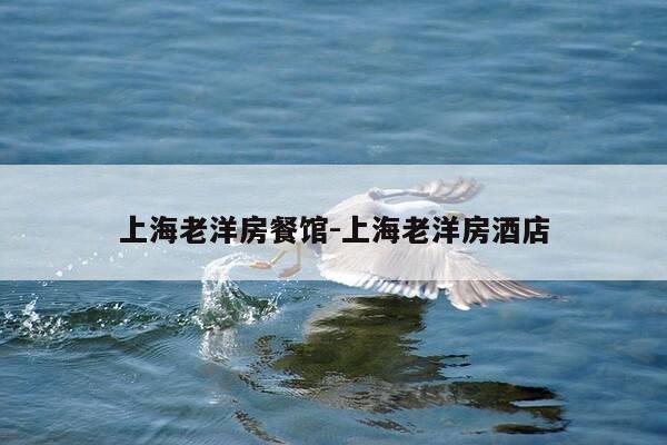 上海老洋房餐馆-上海老洋房酒店-第1张图片-优惠活动网