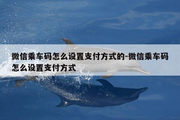 微信乘车码怎么设置支付方式的-微信乘车码怎么设置支付方式-第1张图片-优惠活动网 微信乘车码怎么设置支付方式的-微信乘车码怎么设置支付方式-第1张图片-优惠活动网