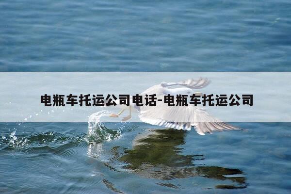 电瓶车托运公司电话-电瓶车托运公司-第1张图片-优惠活动网 电瓶车托运公司电话-电瓶车托运公司-第1张图片-优惠活动网