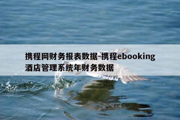 携程网财务报表数据-携程ebooking酒店管理系统年财务数据-第1张图片-优惠活动网