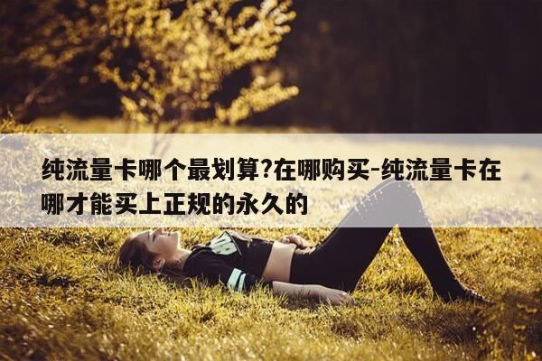 纯流量卡哪个最划算?在哪购买-纯流量卡在哪才能买上正规的永久的-第1张图片-优惠活动网