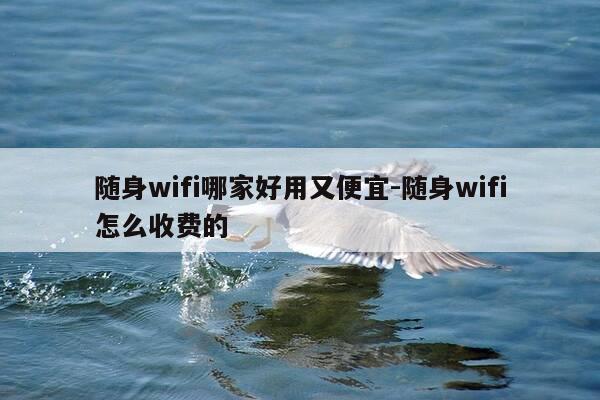 随身wifi哪家好用又便宜-随身wifi怎么收费的-第1张图片-优惠活动网 随身wifi哪家好用又便宜-随身wifi怎么收费的-第1张图片-优惠活动网