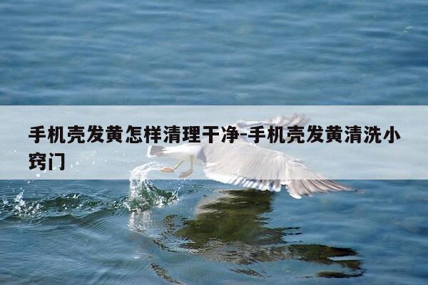 手机壳发黄怎样清理干净-手机壳发黄清洗小窍门-第1张图片-优惠活动网