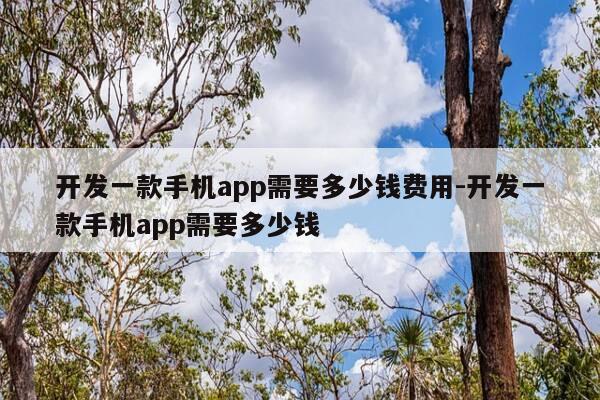 开发一款手机app需要多少钱费用-开发一款手机app需要多少钱-第1张图片-优惠活动网