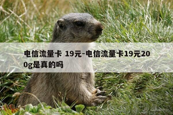 电信流量卡 19元-电信流量卡19元200g是真的吗-第1张图片-优惠活动网