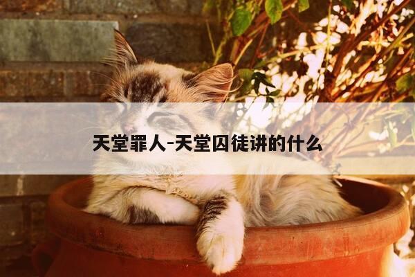 天堂罪人-天堂囚徒讲的什么-第1张图片-优惠活动网 天堂罪人-天堂囚徒讲的什么-第1张图片-优惠活动网