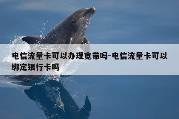 电信流量卡可以办理宽带吗-电信流量卡可以绑定银行卡吗-第1张图片-优惠活动网