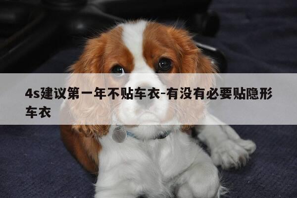 4s建议第一年不贴车衣-有没有必要贴隐形车衣-第1张图片-优惠活动网