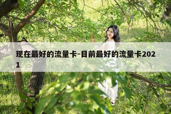 现在最好的流量卡-目前最好的流量卡2021-第1张图片-优惠活动网
