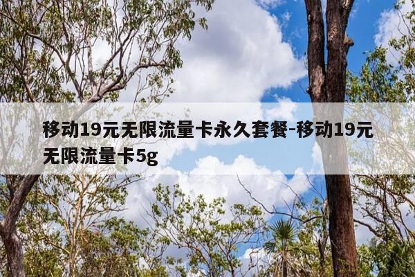 移动19元无限流量卡永久套餐-移动19元无限流量卡5g-第1张图片-优惠活动网