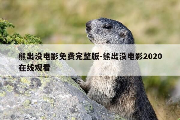 熊出没电影免费完整版-熊出没电影2020在线观看-第1张图片-优惠活动网