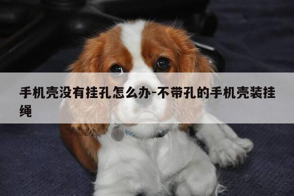 手机壳没有挂孔怎么办-不带孔的手机壳装挂绳-第1张图片-优惠活动网