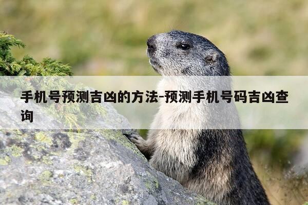 手机号预测吉凶的方法-预测手机号码吉凶查询-第1张图片-优惠活动网