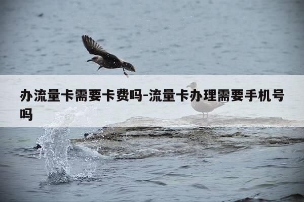 办流量卡需要卡费吗-流量卡办理需要手机号吗-第1张图片-优惠活动网 办流量卡需要卡费吗-流量卡办理需要手机号吗-第1张图片-优惠活动网