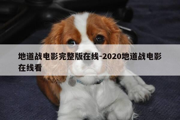 地道战电影完整版在线-2020地道战电影在线看-第1张图片-优惠活动网