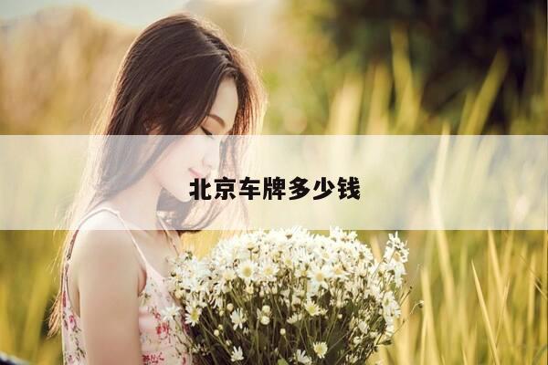 北京车牌多少钱-第1张图片-优惠活动网