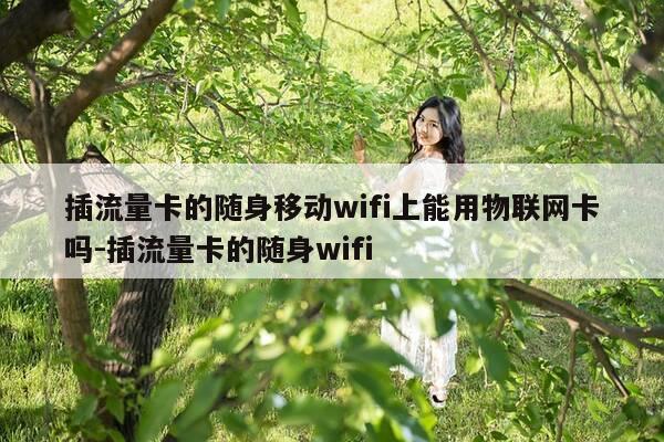 插流量卡的随身移动wifi上能用物联网卡吗-插流量卡的随身wifi-第1张图片-优惠活动网