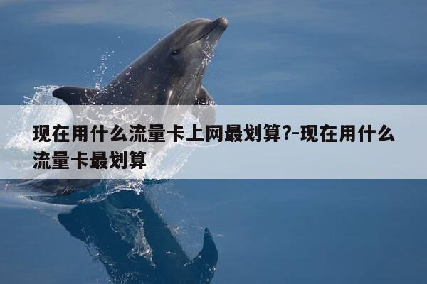 现在用什么流量卡上网最划算?-现在用什么流量卡最划算-第1张图片-优惠活动网