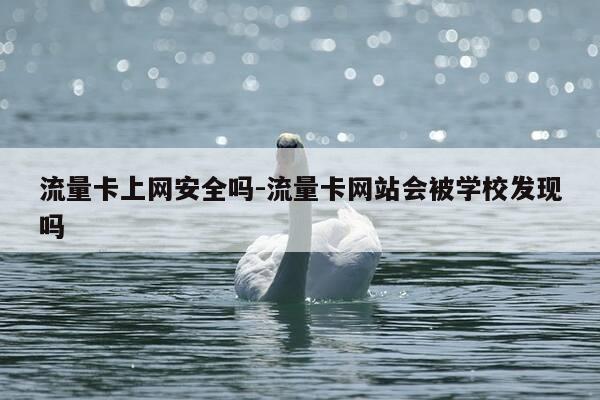 流量卡上网安全吗-流量卡网站会被学校发现吗-第1张图片-优惠活动网 流量卡上网安全吗-流量卡网站会被学校发现吗-第1张图片-优惠活动网