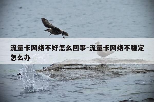 流量卡网络不好怎么回事-流量卡网络不稳定怎么办-第1张图片-优惠活动网