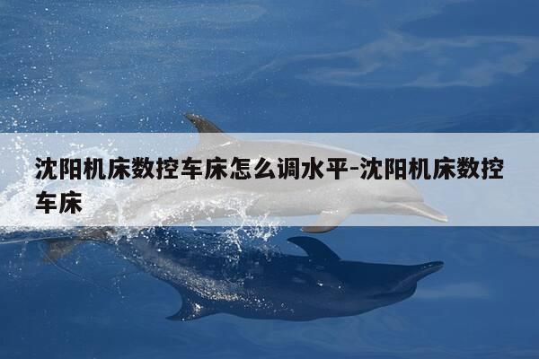沈阳机床数控车床怎么调水平-沈阳机床数控车床-第1张图片-优惠活动网