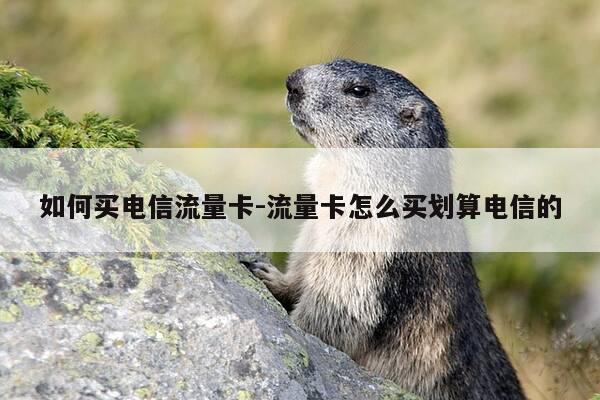 如何买电信流量卡-流量卡怎么买划算电信的-第1张图片-优惠活动网