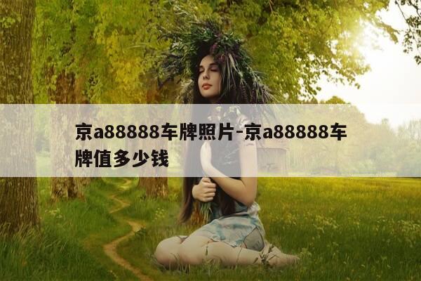 京a88888车牌照片-京a88888车牌值多少钱-第1张图片-优惠活动网