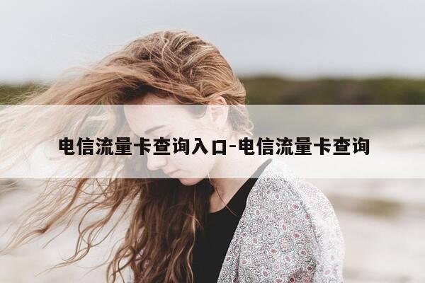 电信流量卡查询入口-电信流量卡查询-第1张图片-优惠活动网