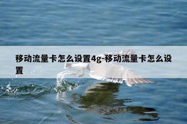 移动流量卡怎么设置4g-移动流量卡怎么设置-第1张图片-优惠活动网