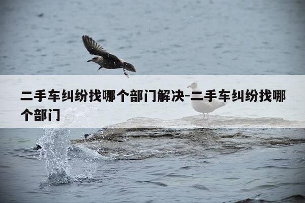 二手车纠纷找哪个部门解决-二手车纠纷找哪个部门-第1张图片-优惠活动网