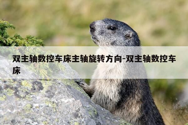 双主轴数控车床主轴旋转方向-双主轴数控车床-第1张图片-优惠活动网