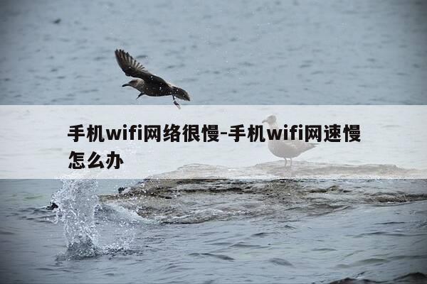手机wifi网络很慢-手机wifi网速慢怎么办-第1张图片-优惠活动网