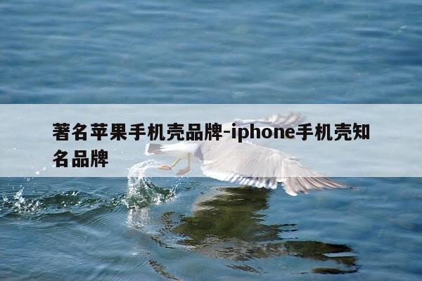 著名苹果手机壳品牌-iphone手机壳知名品牌-第1张图片-优惠活动网 著名苹果手机壳品牌-iphone手机壳知名品牌-第1张图片-优惠活动网