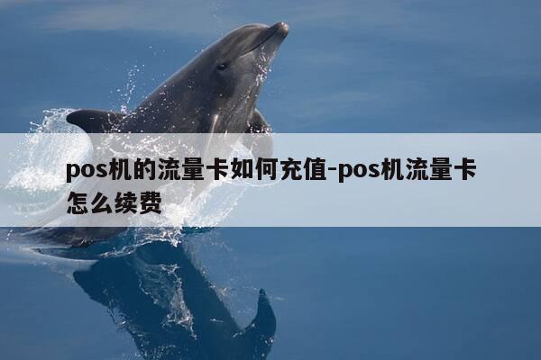 pos机的流量卡如何充值-pos机流量卡怎么续费-第1张图片-优惠活动网