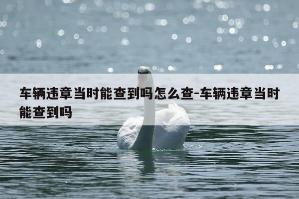 车辆违章当时能查到吗怎么查-车辆违章当时能查到吗-第1张图片-优惠活动网