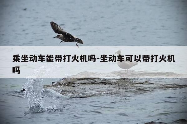 乘坐动车能带打火机吗-坐动车可以带打火机吗-第1张图片-优惠活动网 乘坐动车能带打火机吗-坐动车可以带打火机吗-第1张图片-优惠活动网