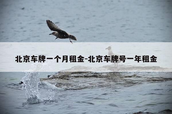 北京车牌一个月租金-北京车牌号一年租金-第1张图片-优惠活动网