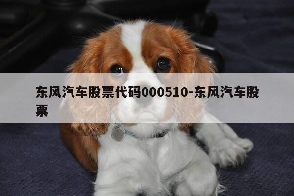 东风汽车股票代码000510-东风汽车股票-第1张图片-优惠活动网