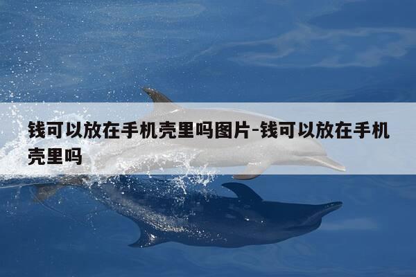 钱可以放在手机壳里吗图片-钱可以放在手机壳里吗-第1张图片-优惠活动网 钱可以放在手机壳里吗图片-钱可以放在手机壳里吗-第1张图片-优惠活动网