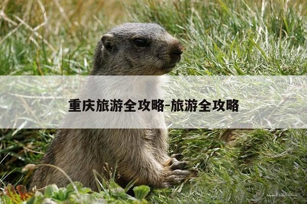 重庆旅游全攻略-旅游全攻略-第1张图片-优惠活动网 重庆旅游全攻略-旅游全攻略-第1张图片-优惠活动网