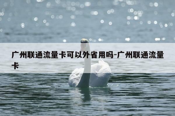 广州联通流量卡可以外省用吗-广州联通流量卡-第1张图片-优惠活动网 广州联通流量卡可以外省用吗-广州联通流量卡-第1张图片-优惠活动网