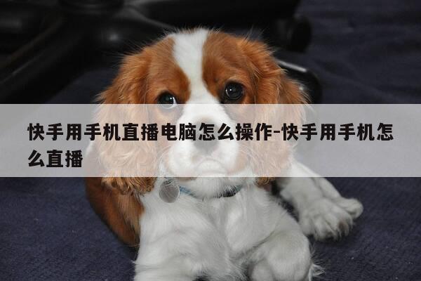 快手用手机直播电脑怎么操作-快手用手机怎么直播-第1张图片-优惠活动网 快手用手机直播电脑怎么操作-快手用手机怎么直播-第1张图片-优惠活动网