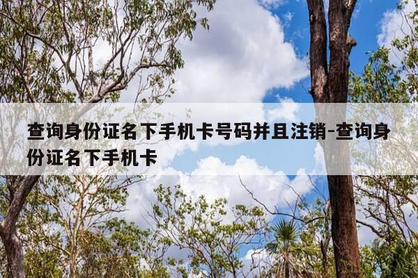 查询身份证名下手机卡号码并且注销-查询身份证名下手机卡-第1张图片-优惠活动网