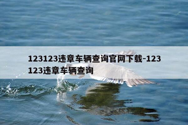 123123违章车辆查询官网下载-123123违章车辆查询-第1张图片-优惠活动网