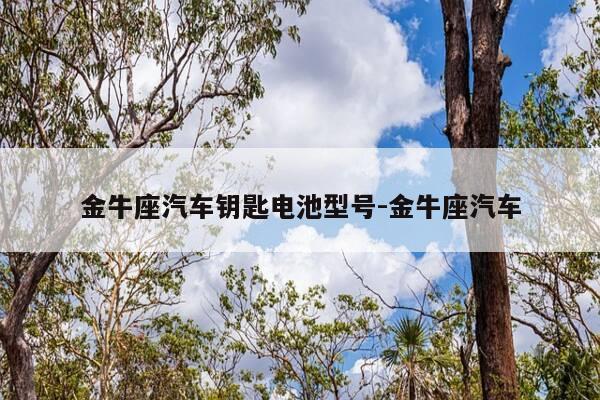 金牛座汽车钥匙电池型号-金牛座汽车-第1张图片-优惠活动网 金牛座汽车钥匙电池型号-金牛座汽车-第1张图片-优惠活动网
