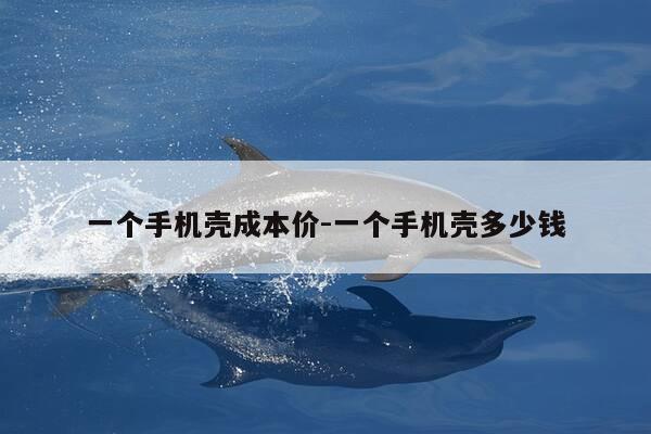 一个手机壳成本价-一个手机壳多少钱-第1张图片-优惠活动网