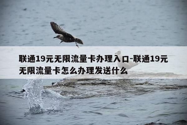 联通19元无限流量卡办理入口-联通19元无限流量卡怎么办理发送什么-第1张图片-优惠活动网 联通19元无限流量卡办理入口-联通19元无限流量卡怎么办理发送什么-第1张图片-优惠活动网